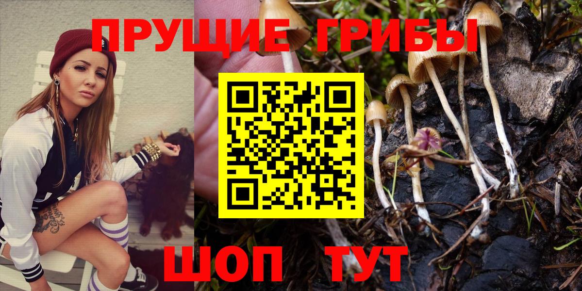 Псилоцибиновые грибы мицелий Орёл